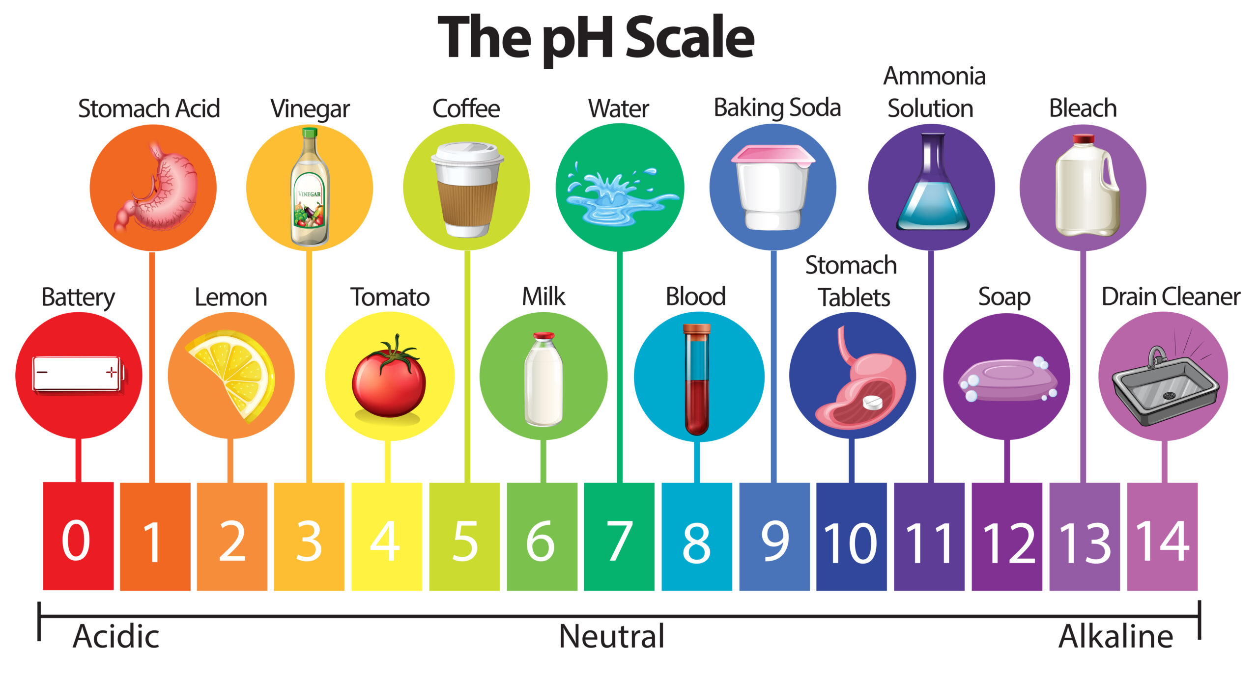 The pH Scale