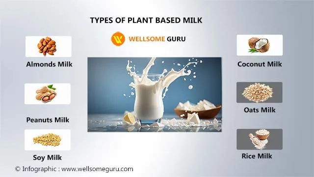 Plant based Milk alternatives